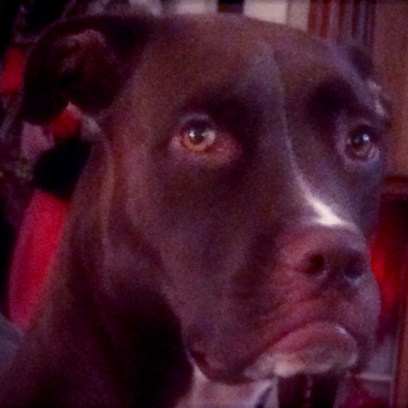 Meet your Posher, Peggy - Picture 1 of 3